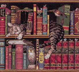 Dimensions "������������ ��������" (Frederick the Literate)