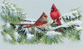 "������ ���������" (Winter Cardinals)
