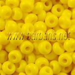 ����� 10 (008)