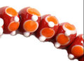 ������ lampwork